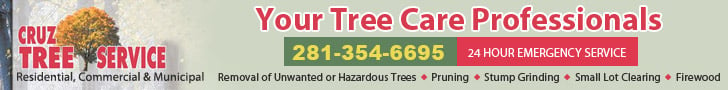 Cruz Tree Service